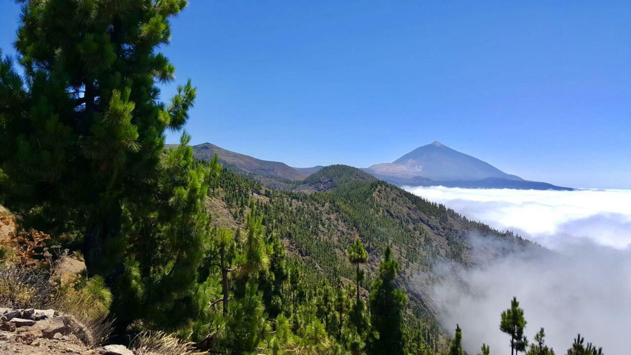 Top View Acantilados De Los Gigantes 아칸티라도 외부 사진