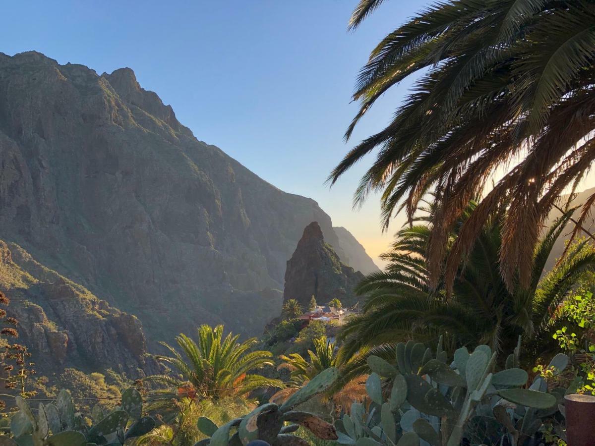 Top View Acantilados De Los Gigantes 아칸티라도 외부 사진
